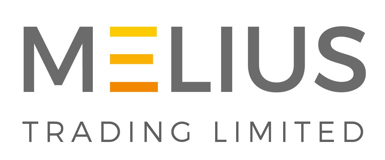 LeiHing Logo