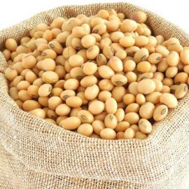 NON-GMO Soybeans (Deposit for Enquiry)